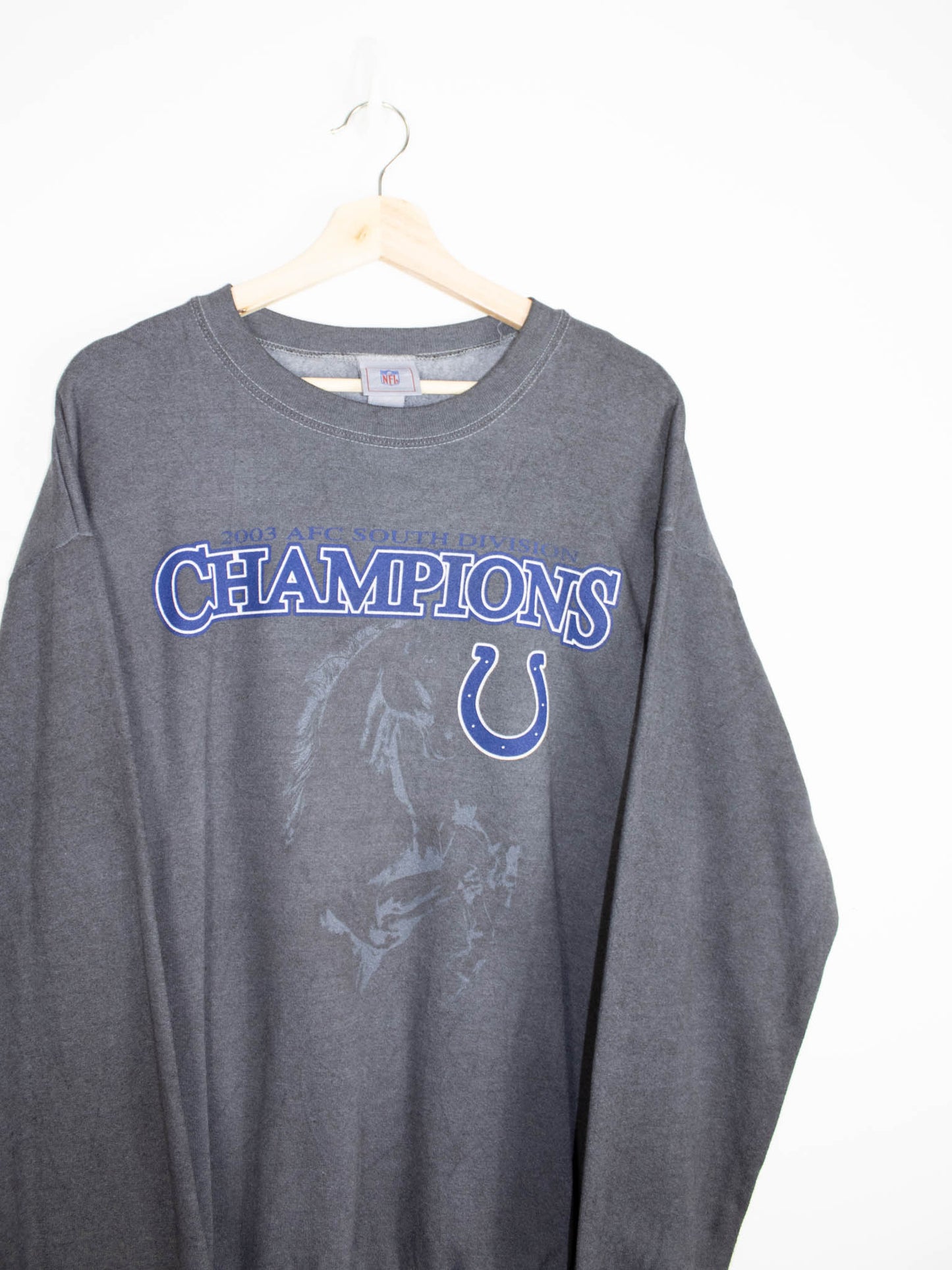 Vintage AFC South Division sweatshirt size: L